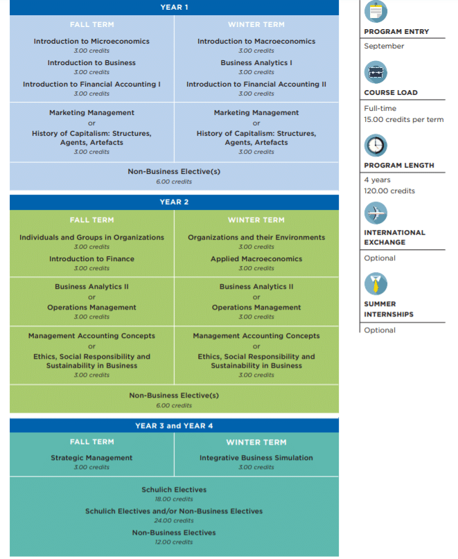 york schulich supplementary application