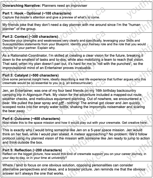 McMaster Health Sciences Supplementary Application