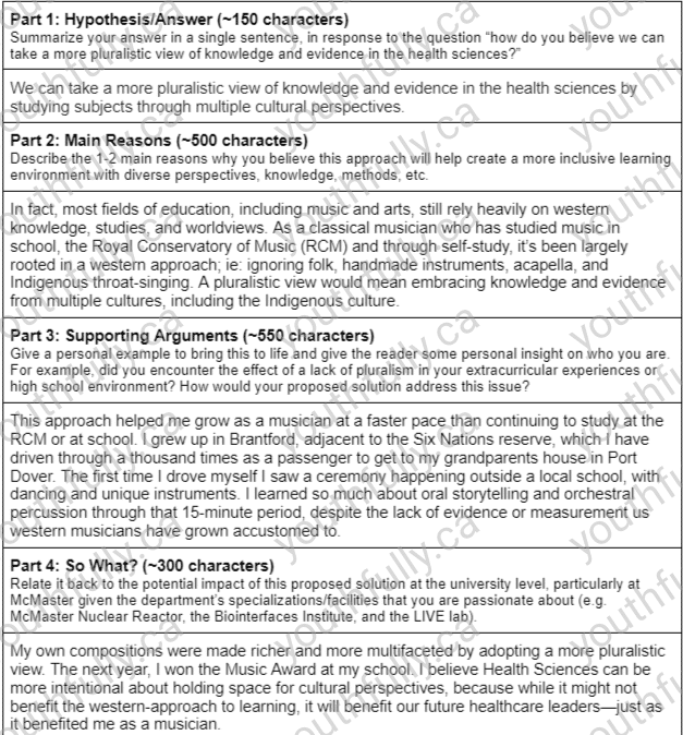 McMaster Health Sciences Supplementary Application